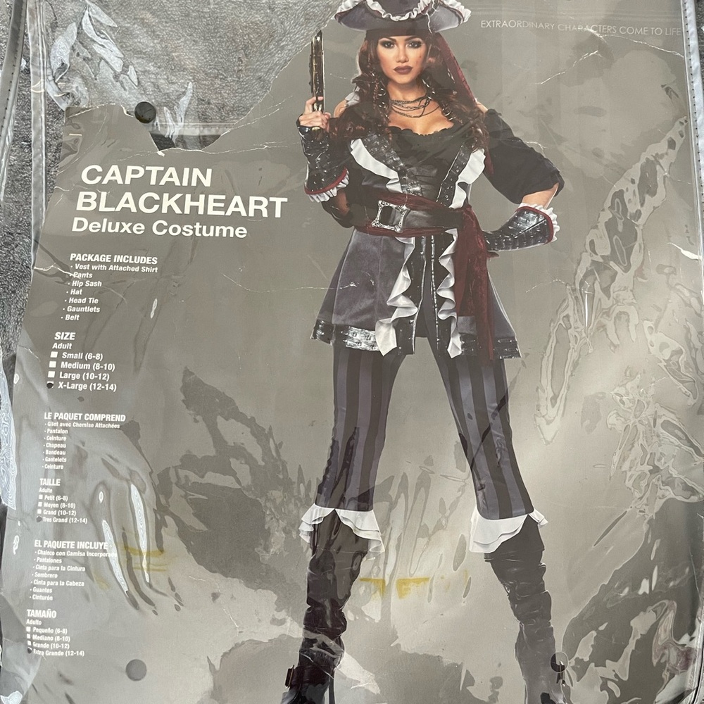 Woman pirate costume